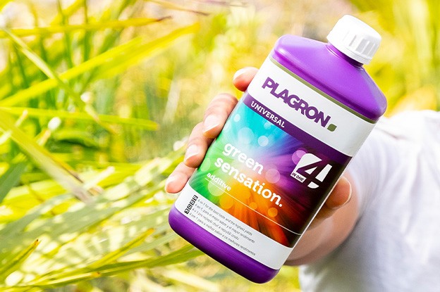 Green Sensation společnosti Plagron