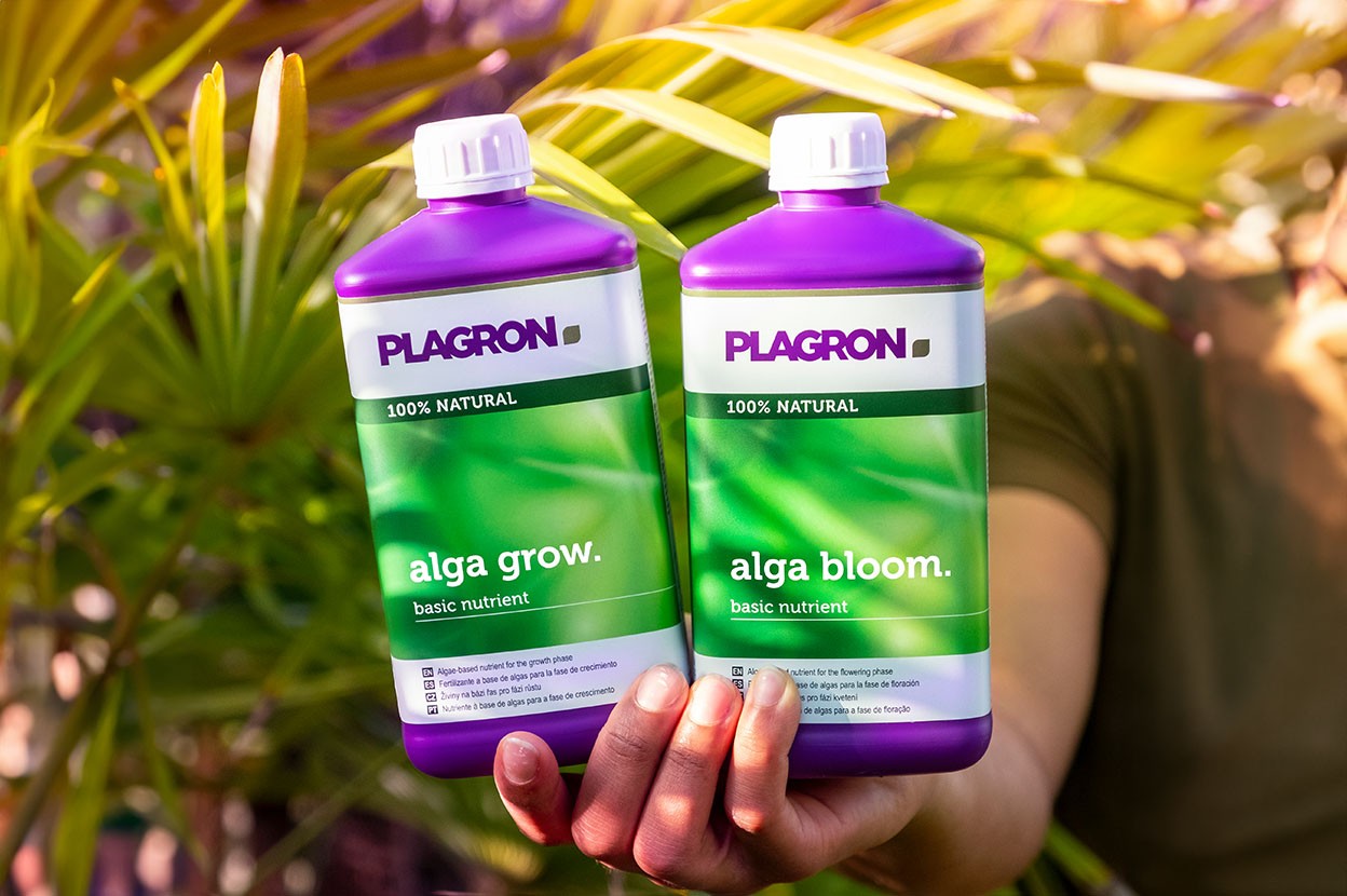 Alga grow a bloom společnosti Plagron