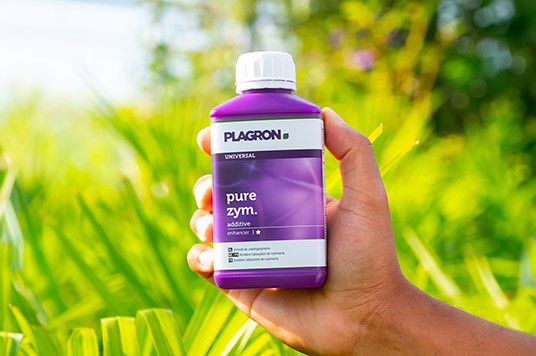 Pure zym od Plagronu