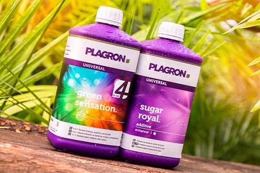 Plagron Green Sensation- & Sugar Royal-Flaschen