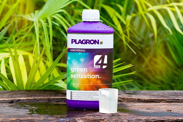 Testen von Plagron Green Sensation mit Messbecher