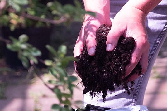 Plagron soil perlite