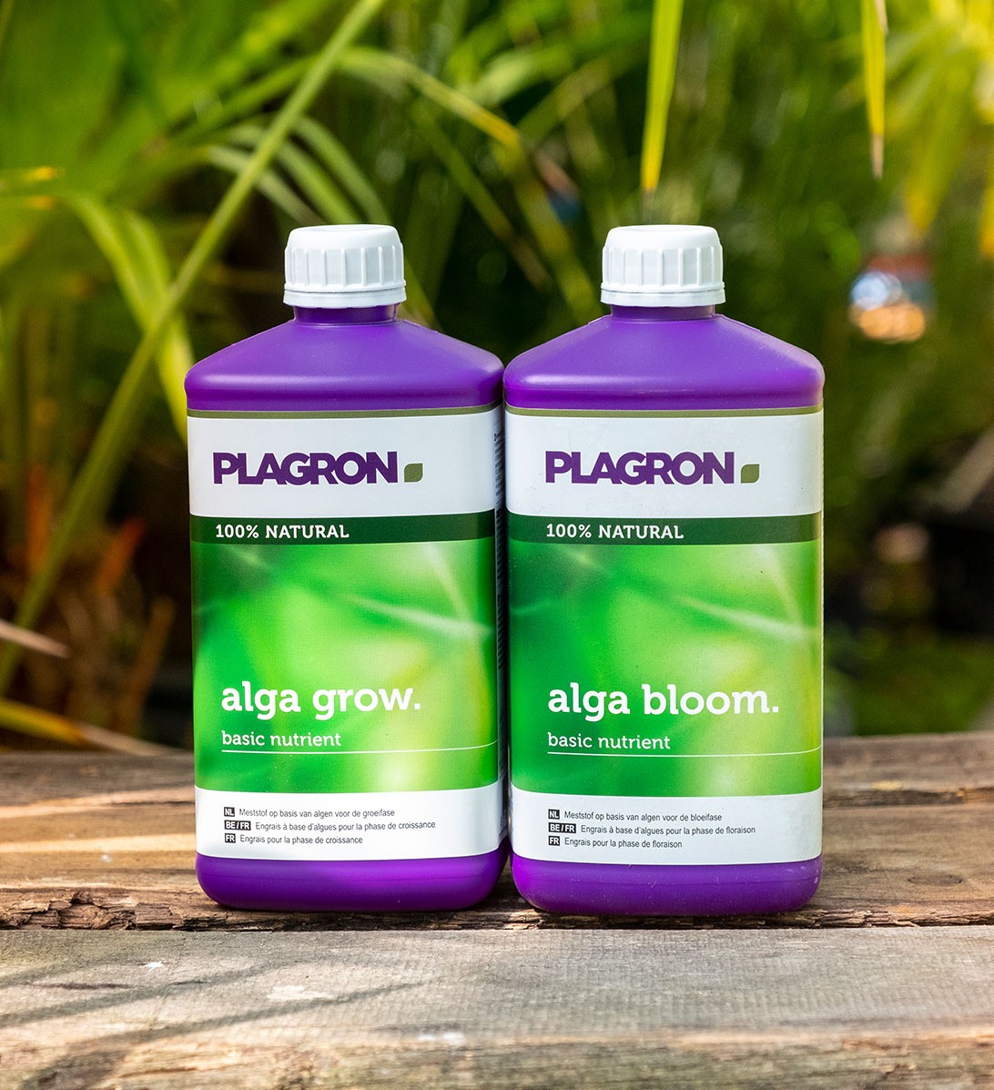 Bio-Anbau mit Alga Grow und Alga Bloom
