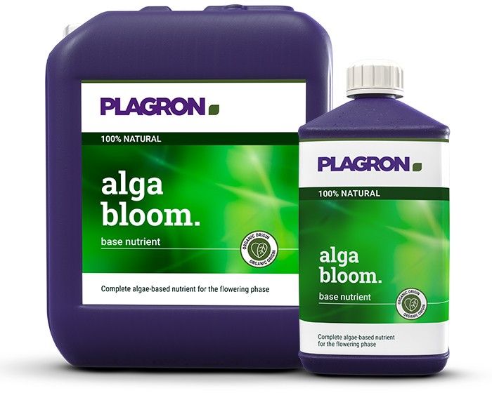 Plagron Alga Bloom Kanister und Flasche