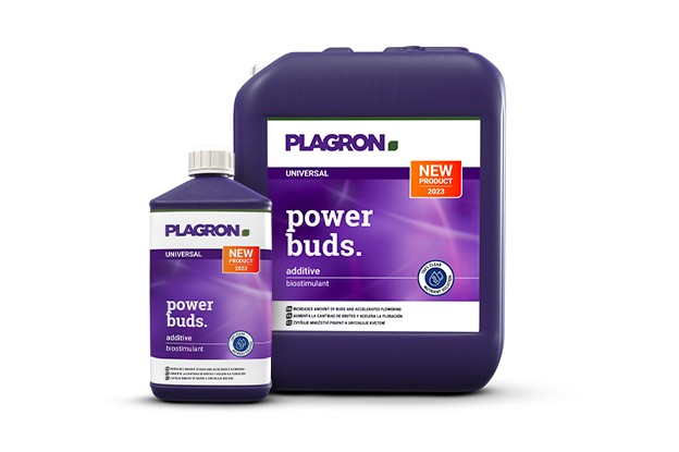 New Product Plagron Power Buds
