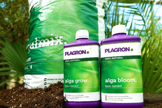 Plagron Royalmix substrate & Alga Grow and Bloom