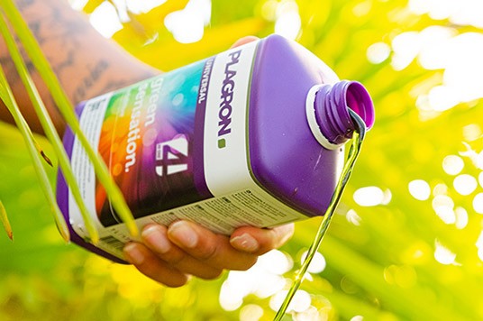 Using Plagron Green Sensation