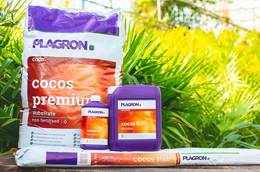 Plagron Cocos product line
