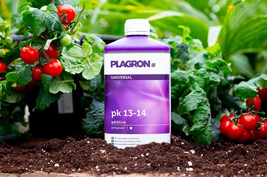 Plagron PK 13-14