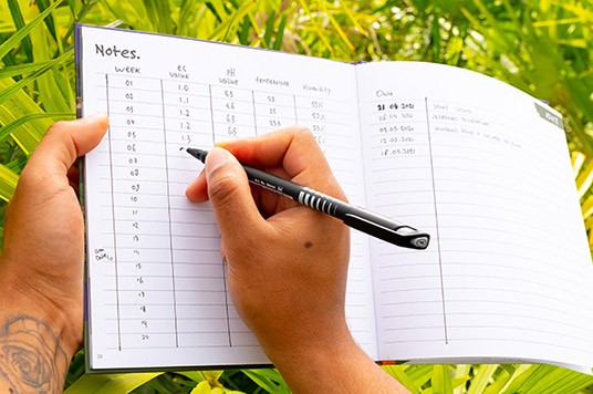 Notes on the condition of the plant