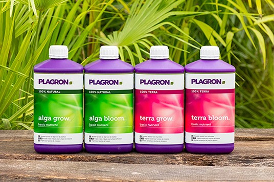 Líneas de productos Plagron Alga y Plagron Terra