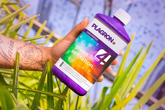 Plagron Green Sensation