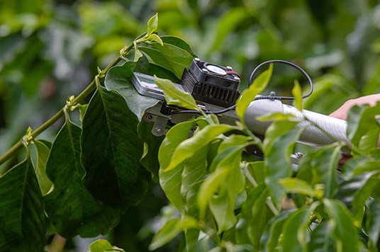 Dispositivo para medir el dióxido de carbono