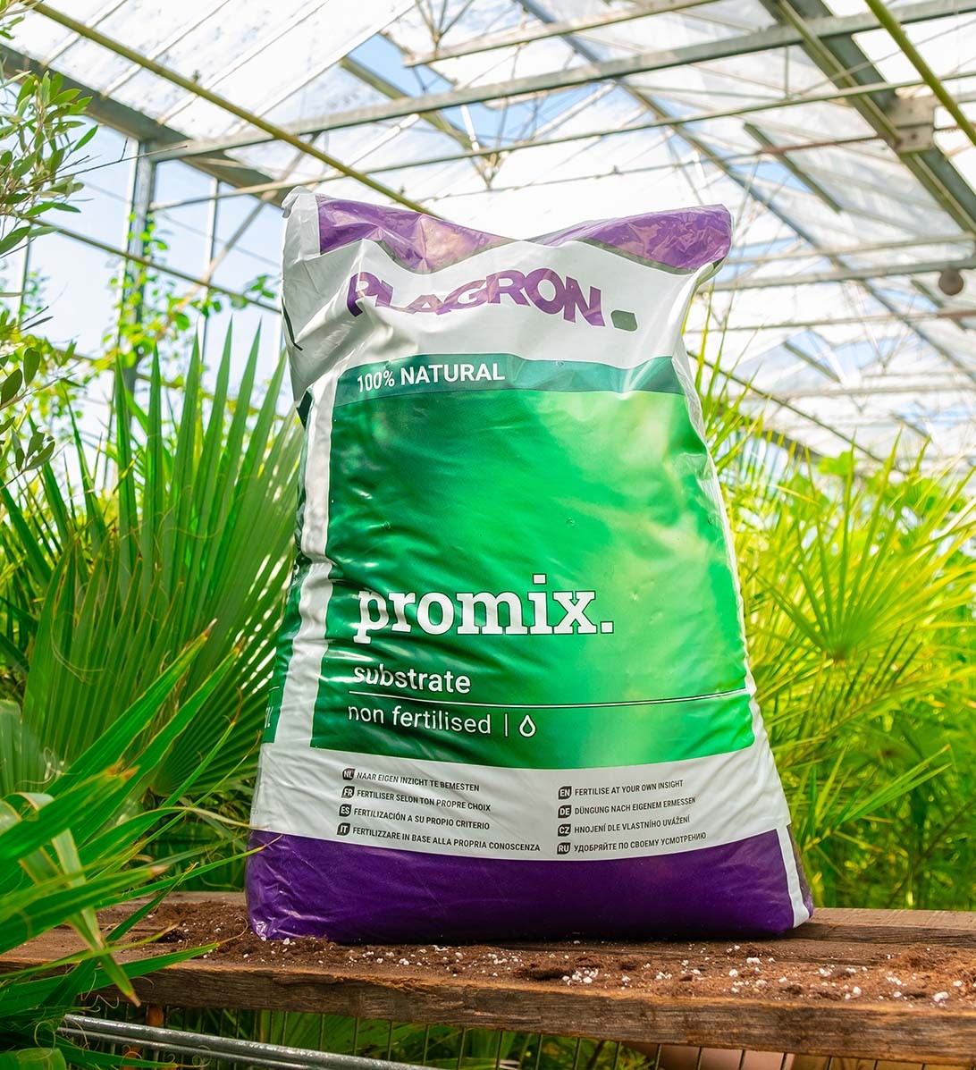 Promix: la mejor tierra orgánica para cultivar en exterior