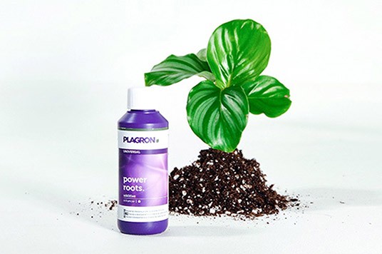 Plagron Power roots