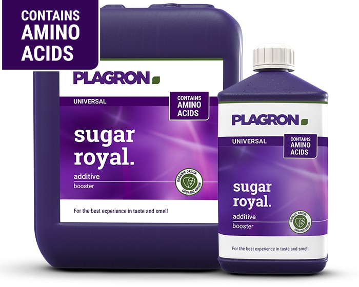 Bidon et bouteille Plagron Sugar Royal