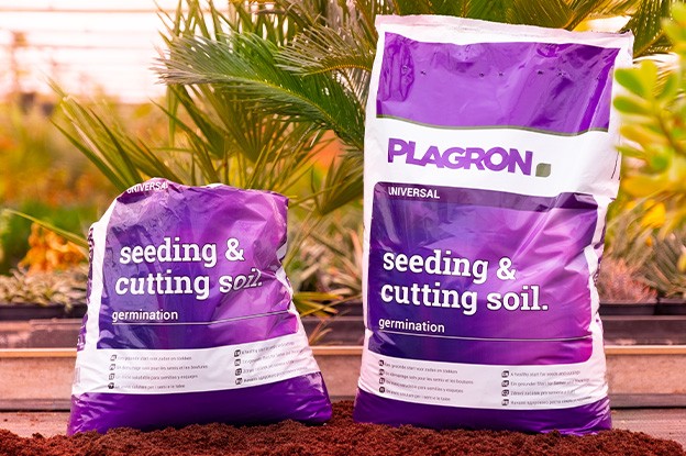Terriccio Plagron Seeding & Cutting