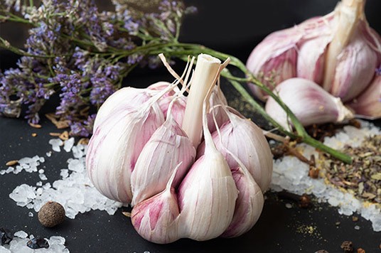 Aglio con lavanda sullo sfondo