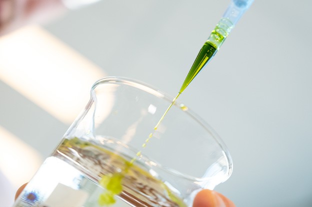 Test di Plagron Green Sensation in laboratorio