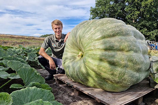 Gerjan con la sua zucca gigante