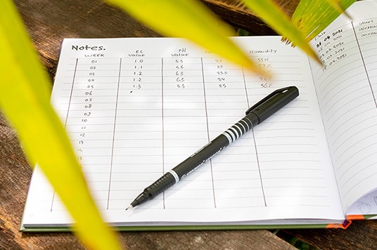 Note sulle condizioni della pianta