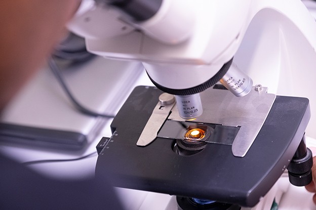 microscoop om te zien hoe producten eruit zien op molecuul level