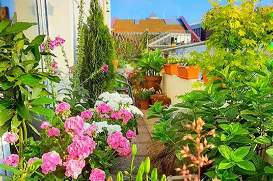 Dominika's kleine tuin