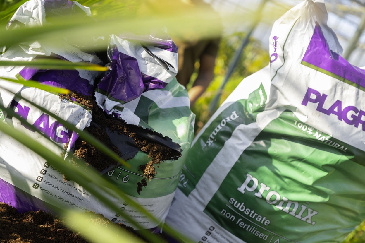 Promix: de beste organische potgrond om buiten te kweken