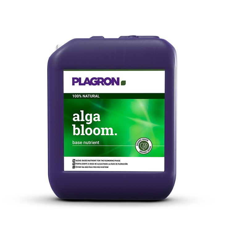 Alga Bloom